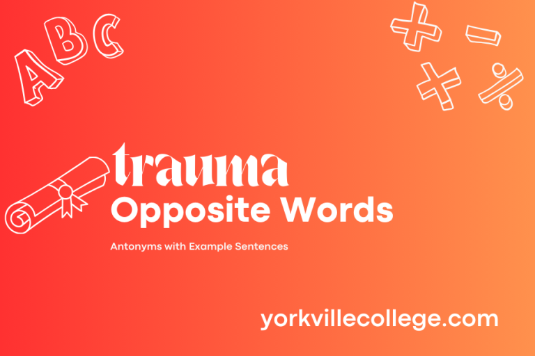 Opposite of Trauma