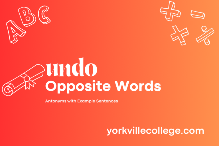 Opposite of Undo