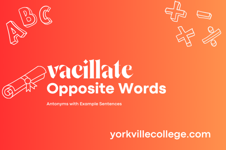 Opposite of Vacillate