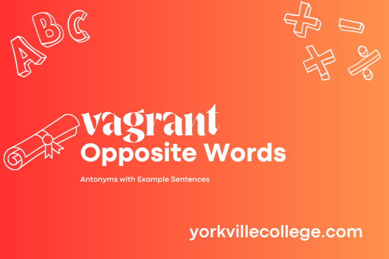 Opposite of Vagrant