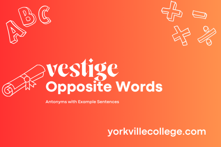 Opposite of Vestige