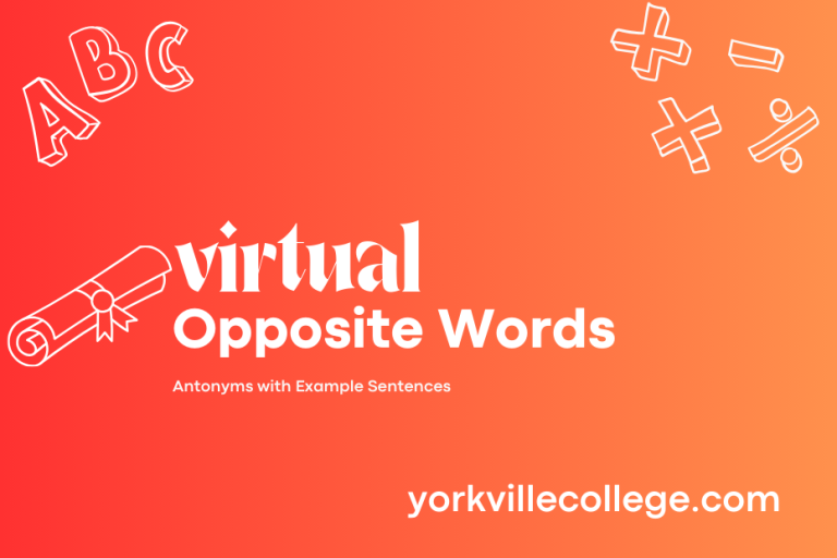 Opposite of Virtual