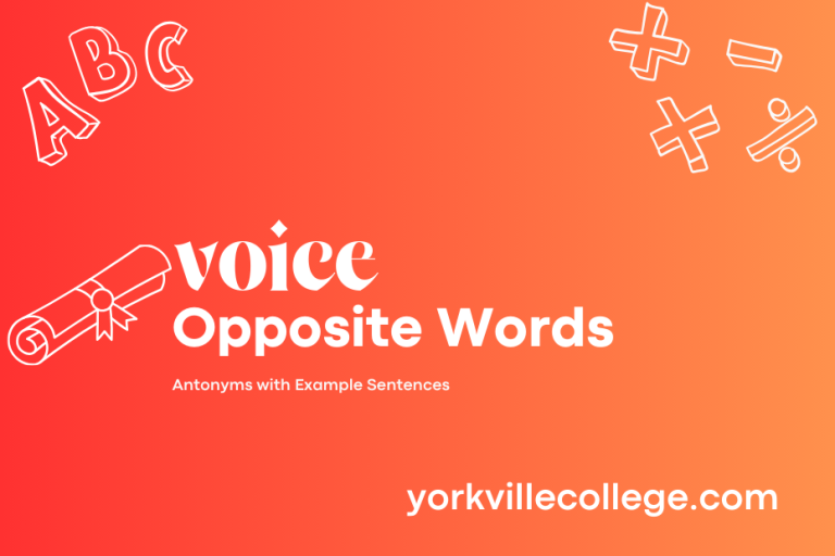 Opposite of Voice