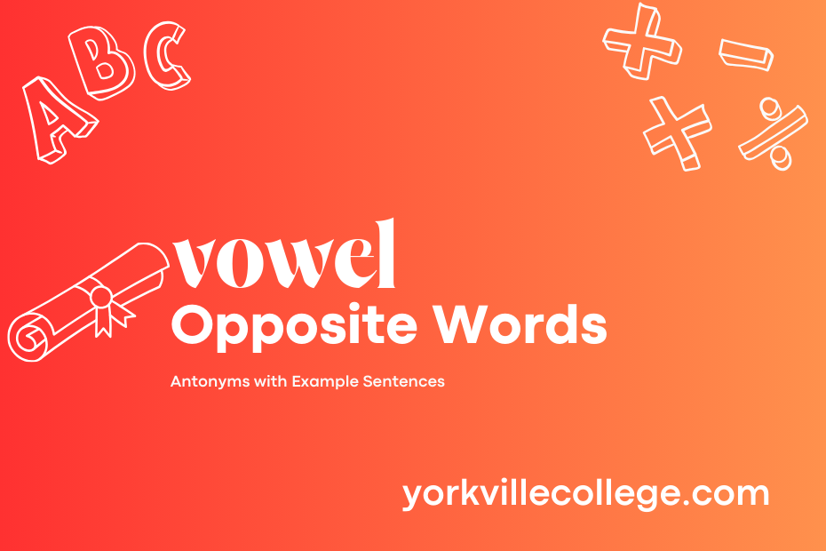 Opposite of Vowel