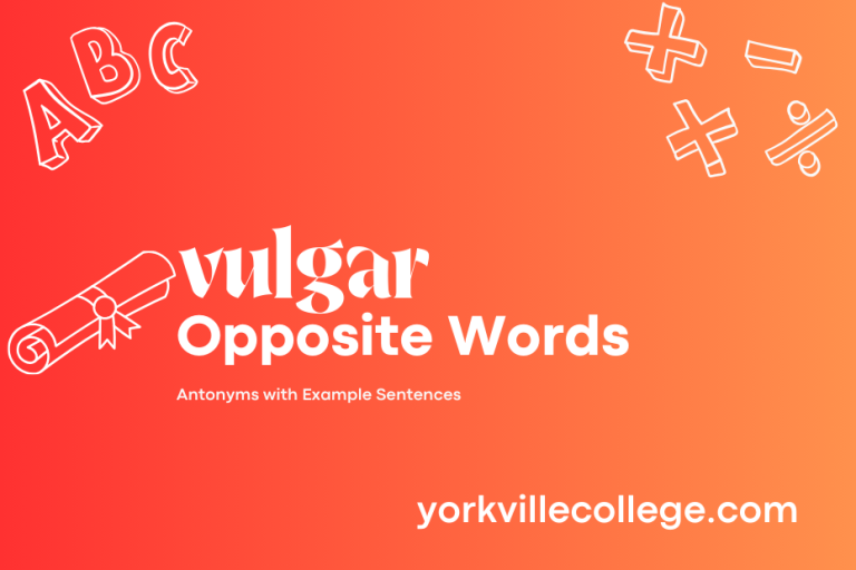 Opposite of Vulgar