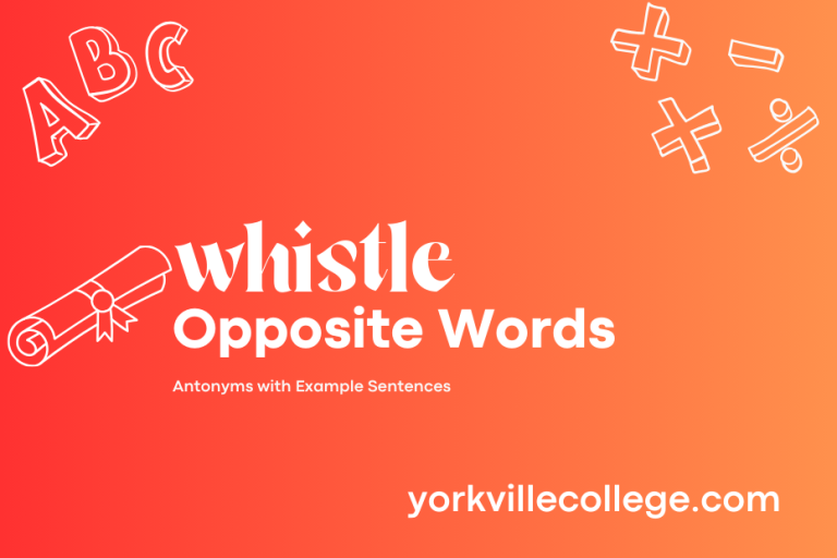 Opposite of Whistle