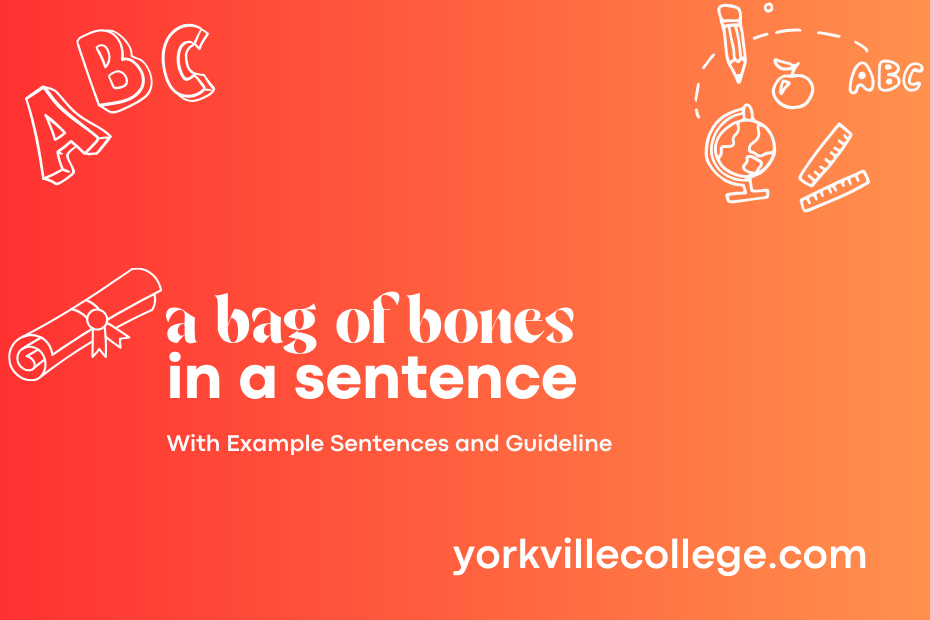 a bag of bones in a sentence