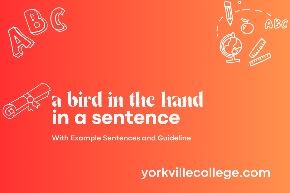 a bird in the hand in a sentence