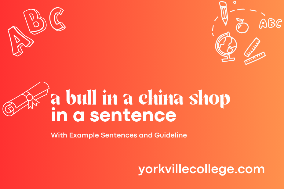 a bull in a china shop in a sentence