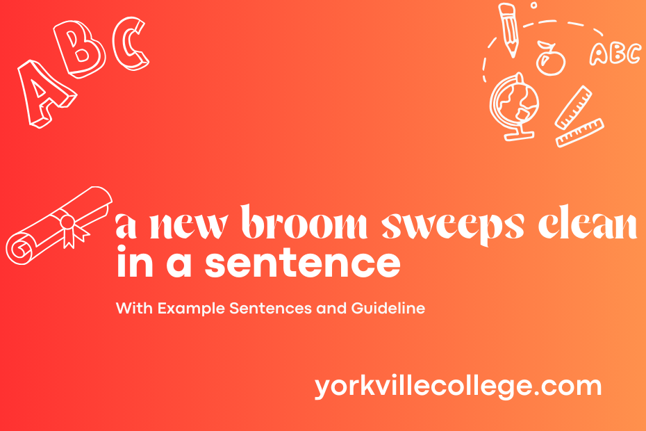 a new broom sweeps clean in a sentence