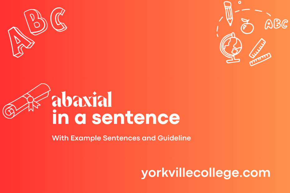 abaxial in a sentence