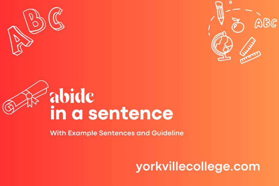 abide in a sentence