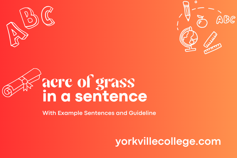 acre of grass in a sentence