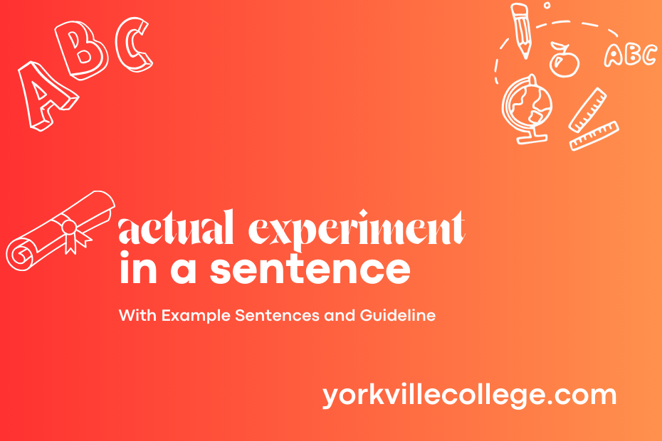 actual experiment in a sentence