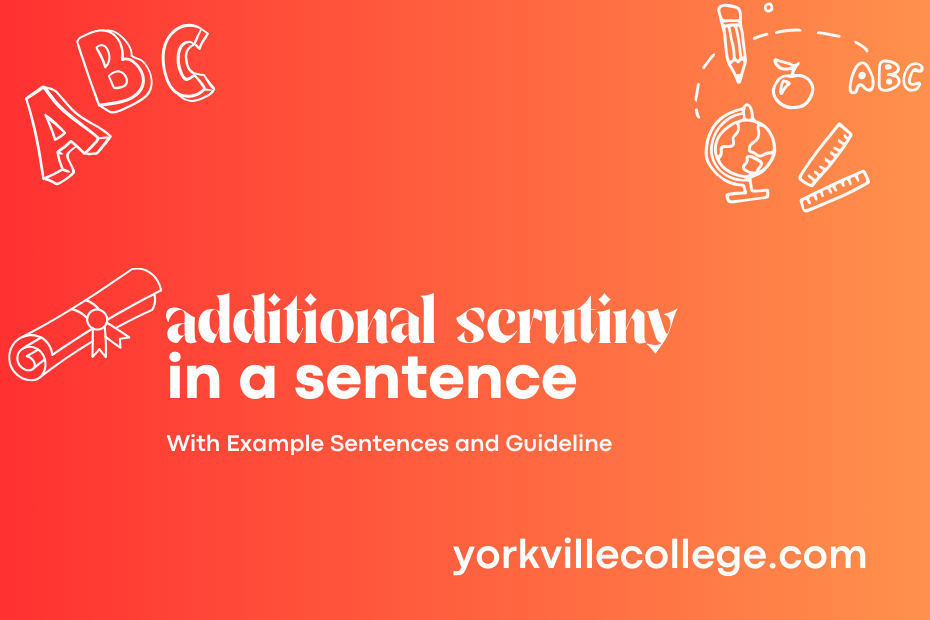 additional scrutiny in a sentence