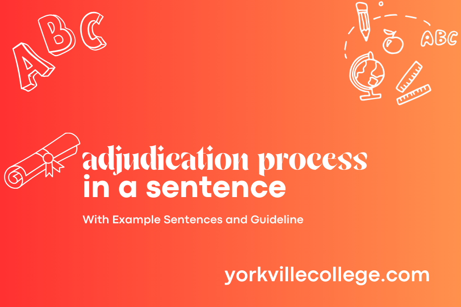 adjudication process in a sentence