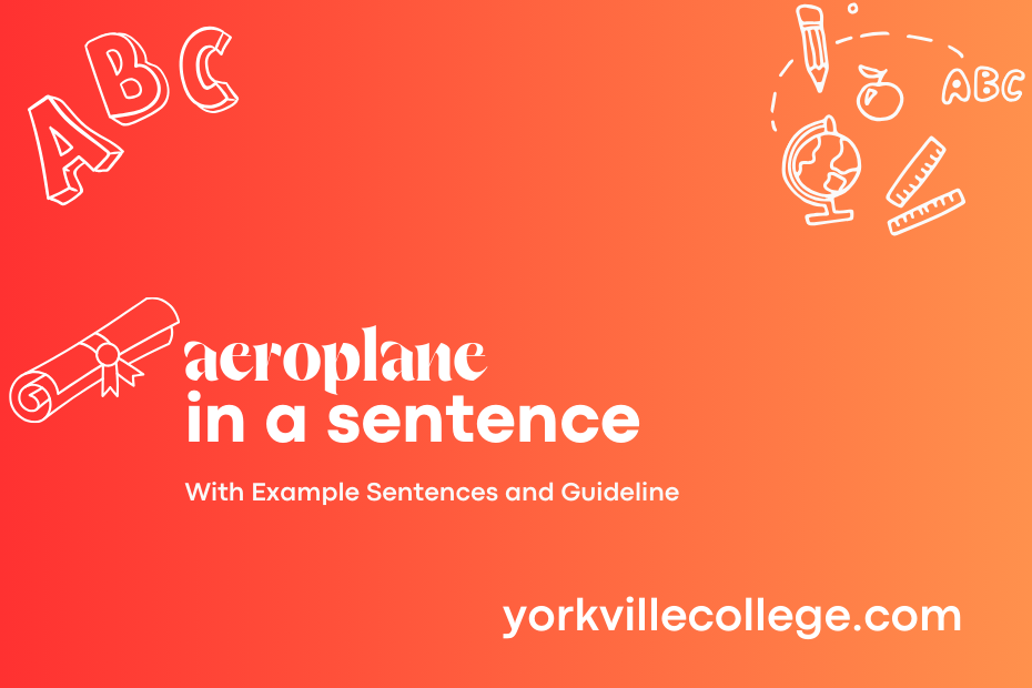 aeroplane in a sentence