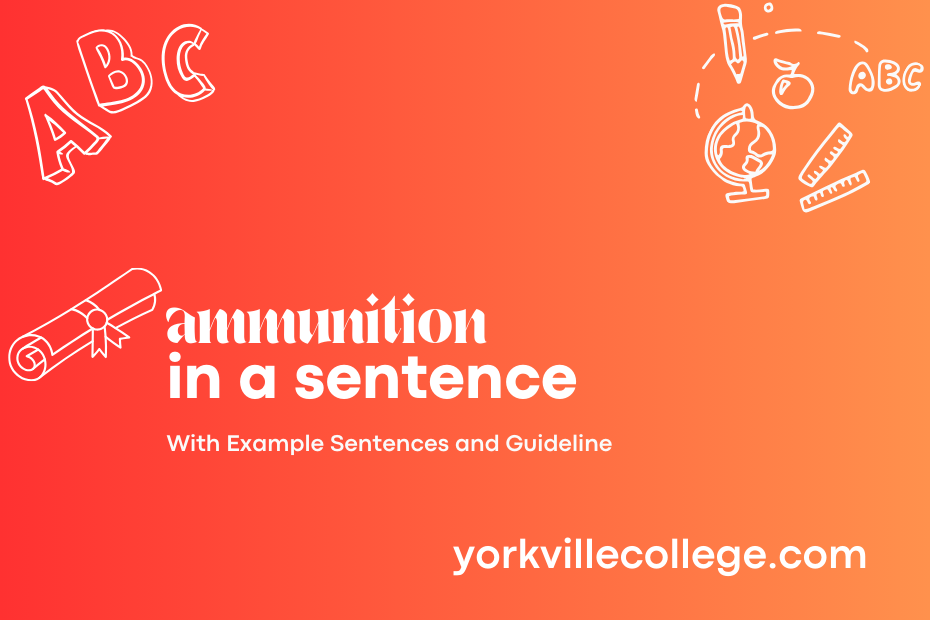 ammunition in a sentence