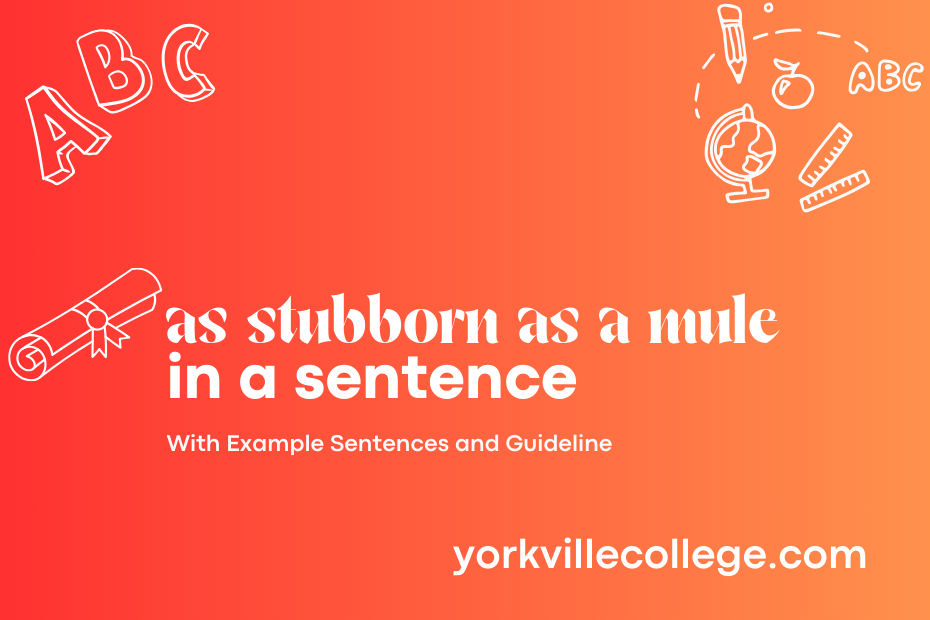 as stubborn as a mule in a sentence