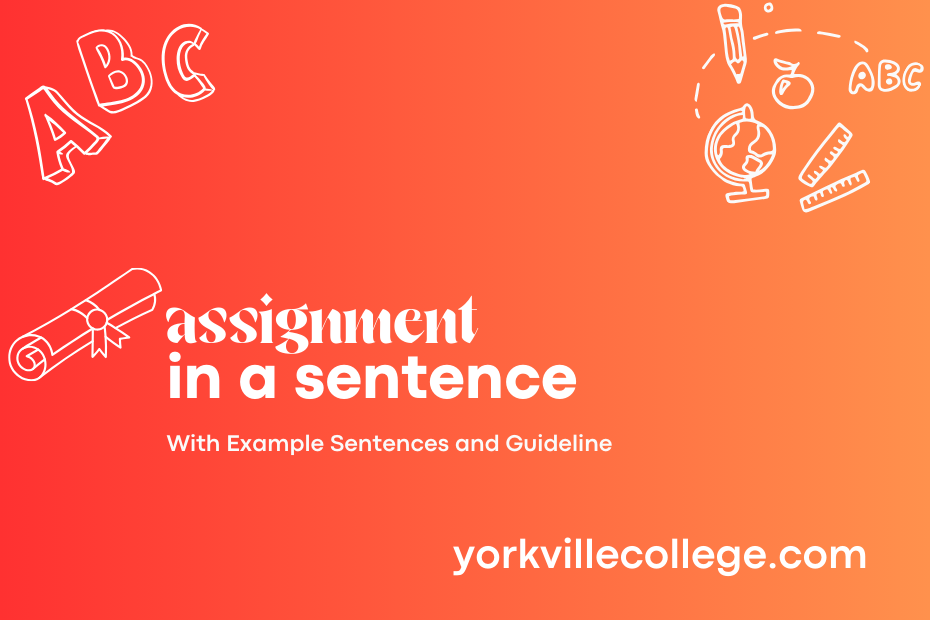 assignment in a sentence