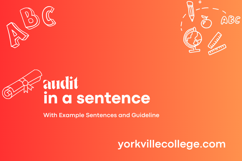 audit in a sentence