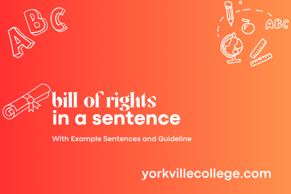 bill of rights in a sentence