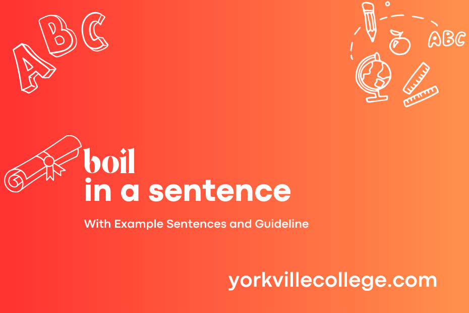 boil in a sentence
