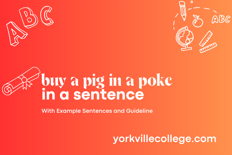 buy a pig in a poke in a sentence