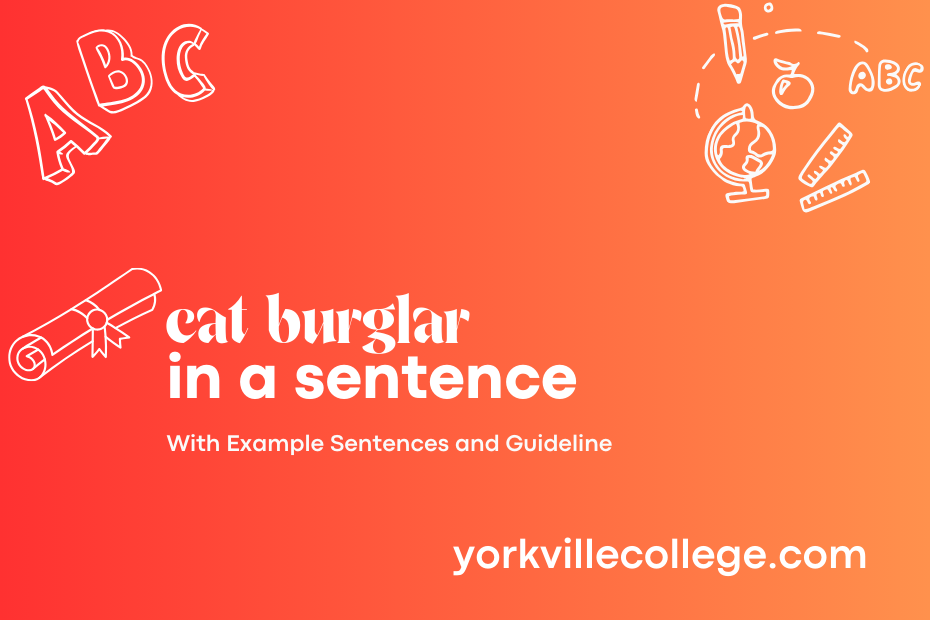 cat burglar in a sentence