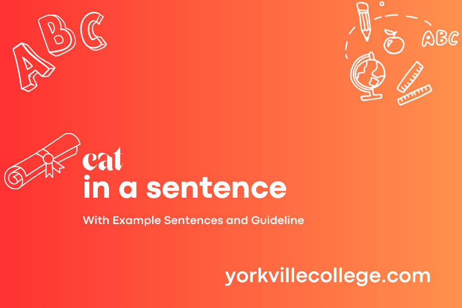 cat in a sentence