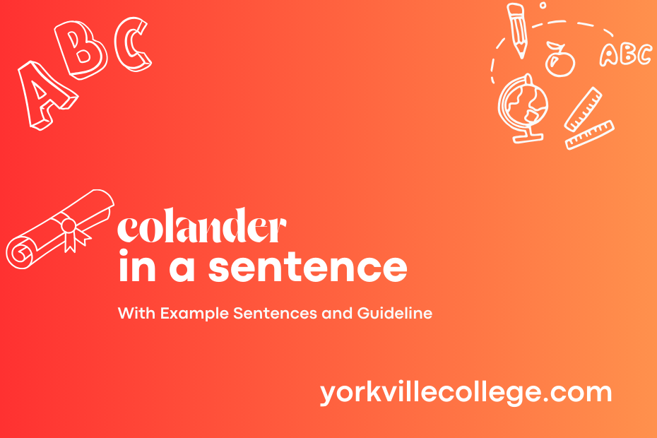 colander in a sentence