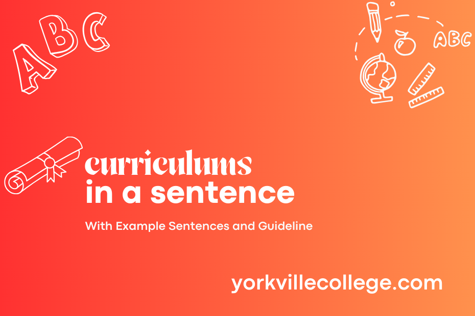 curriculums in a sentence