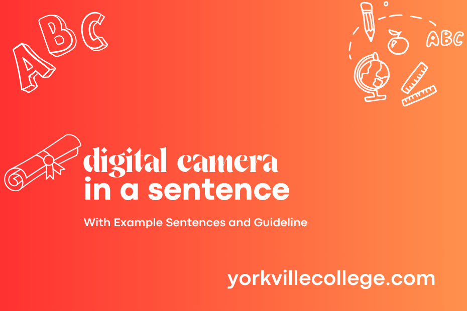 digital camera in a sentence