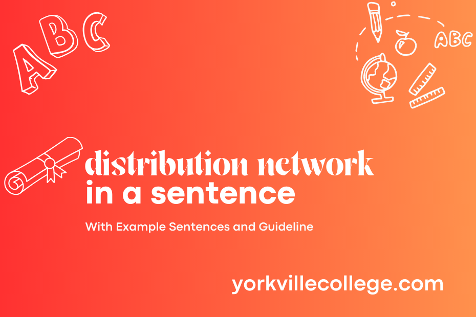 distribution network in a sentence