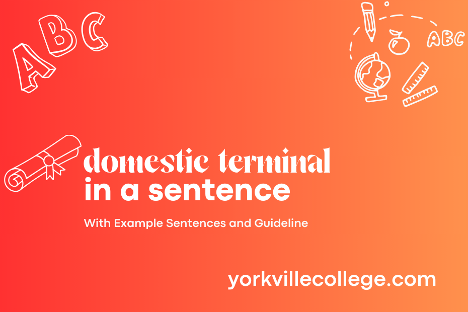 domestic terminal in a sentence