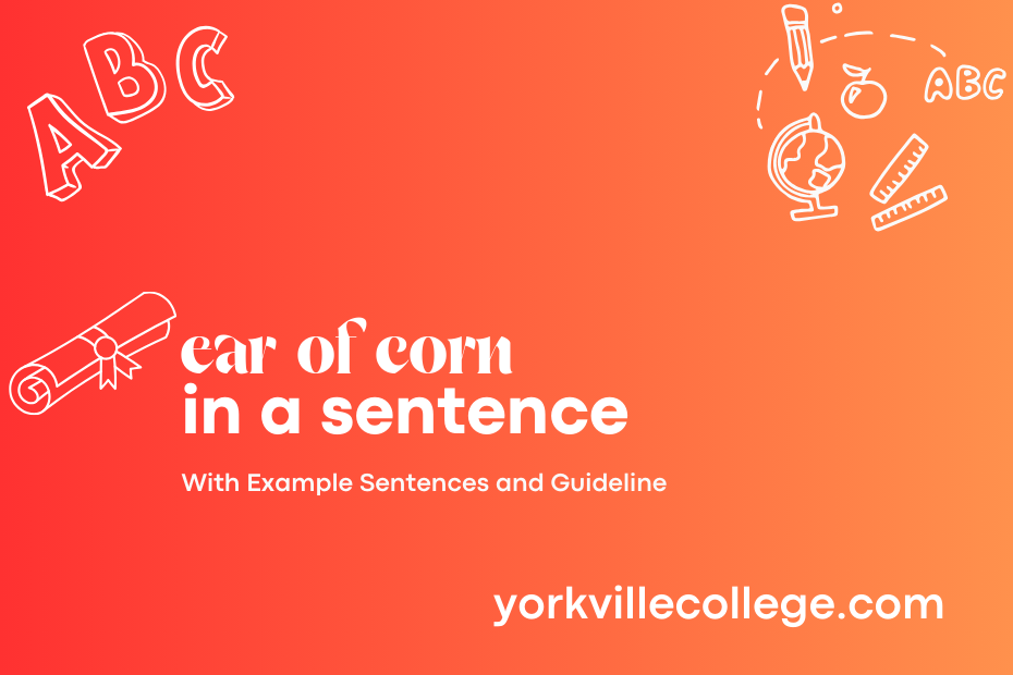 ear of corn in a sentence