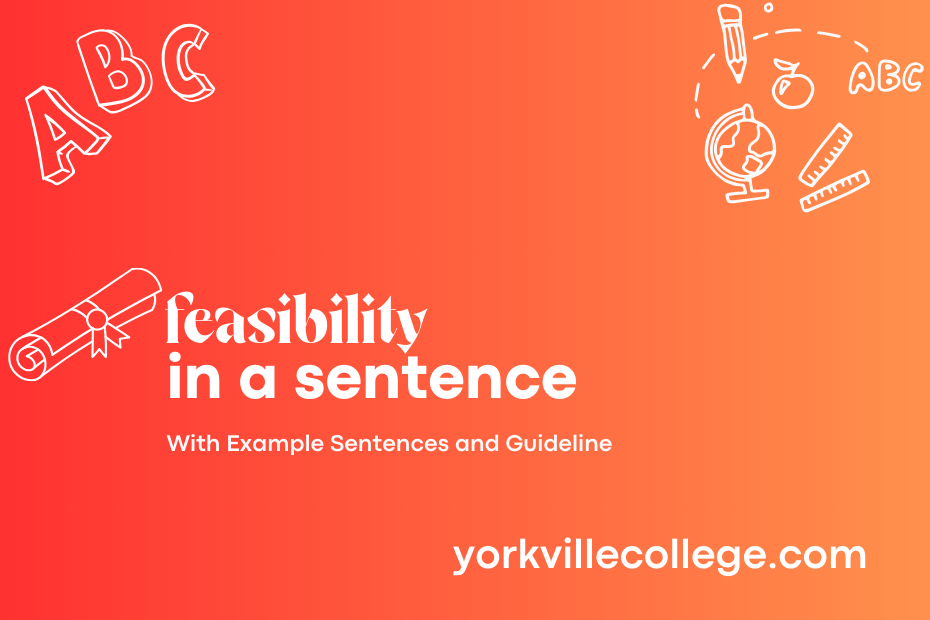 feasibility in a sentence