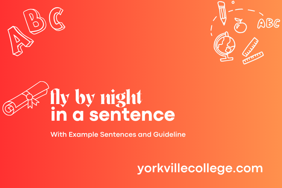 fly by night in a sentence