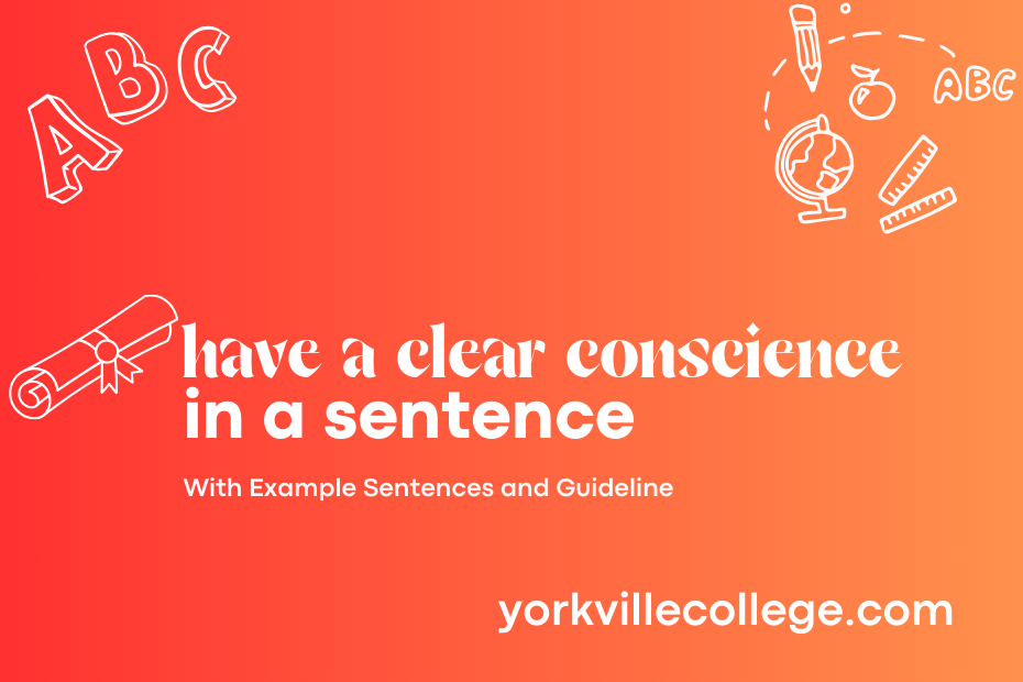 have a clear conscience in a sentence