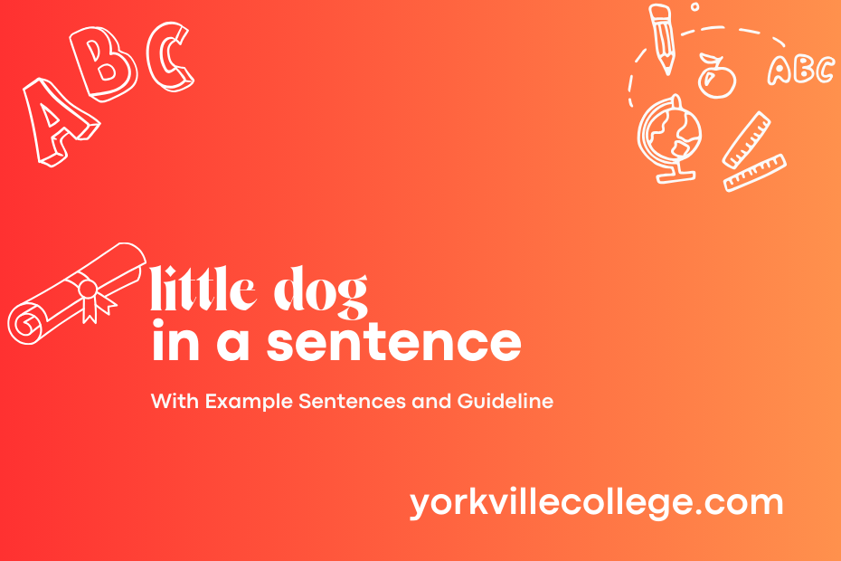 little dog in a sentence