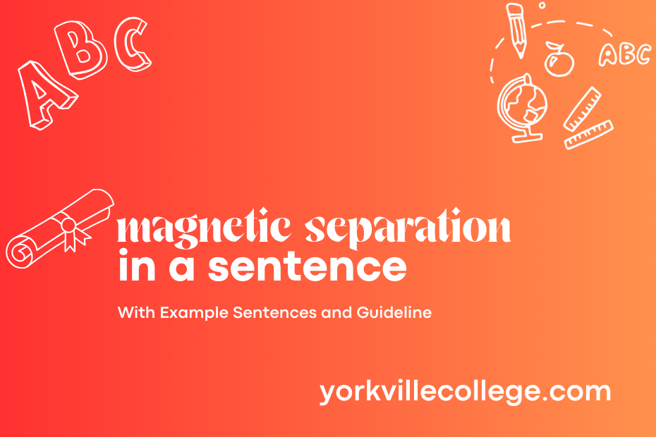 magnetic separation in a sentence