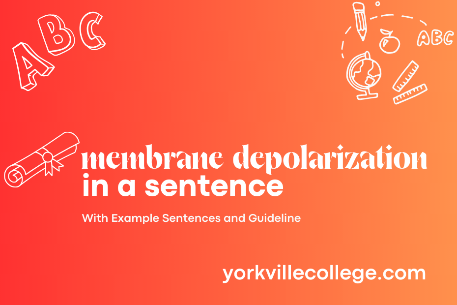 membrane depolarization in a sentence