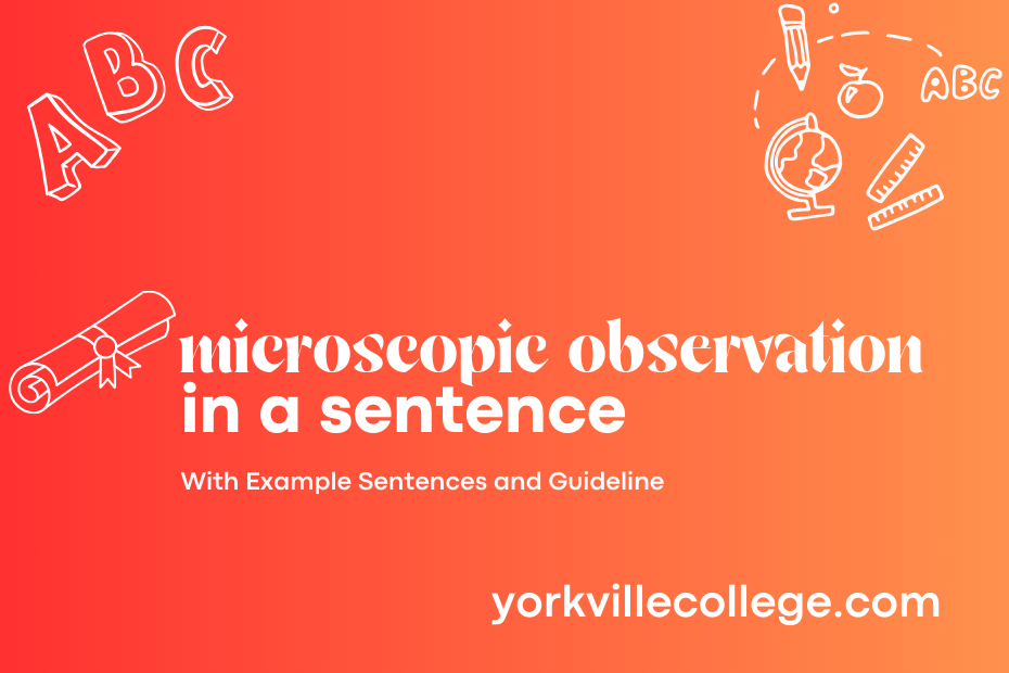 microscopic observation in a sentence