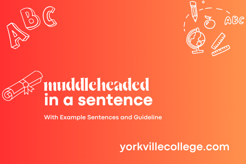 muddleheaded in a sentence