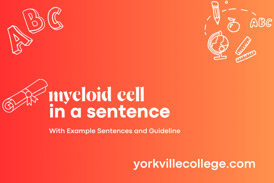 myeloid cell in a sentence