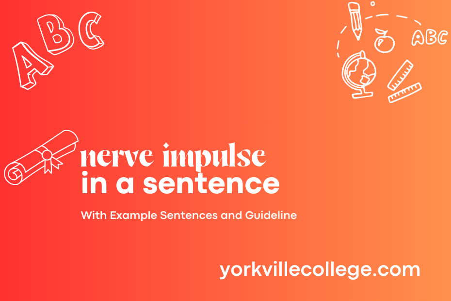 nerve impulse in a sentence