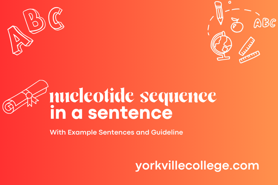 nucleotide sequence in a sentence