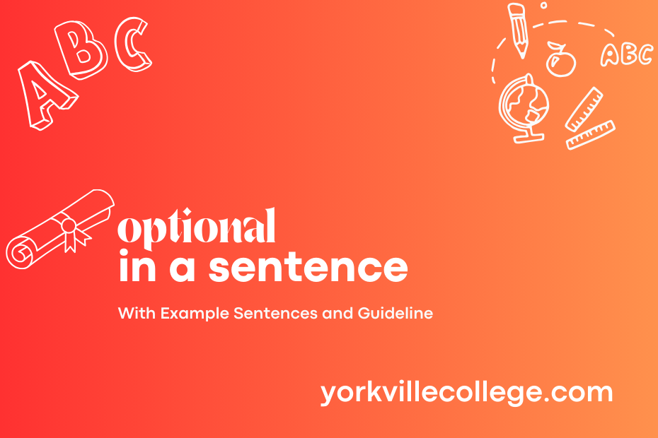 optional in a sentence