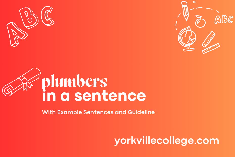 plumbers in a sentence
