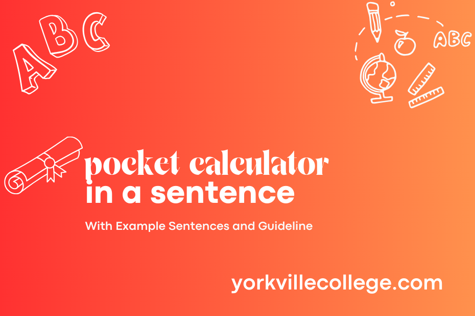 pocket calculator in a sentence